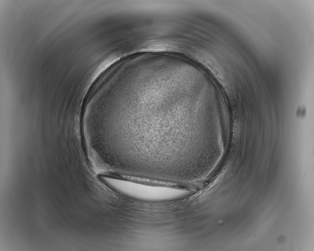 X0000098171465200805080949