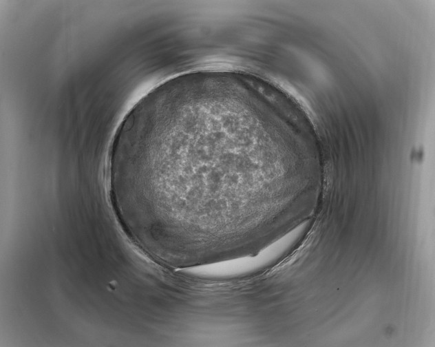 X0000098171467200805080949