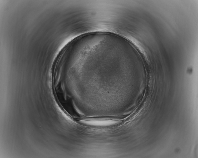 X0000098171468200805080949