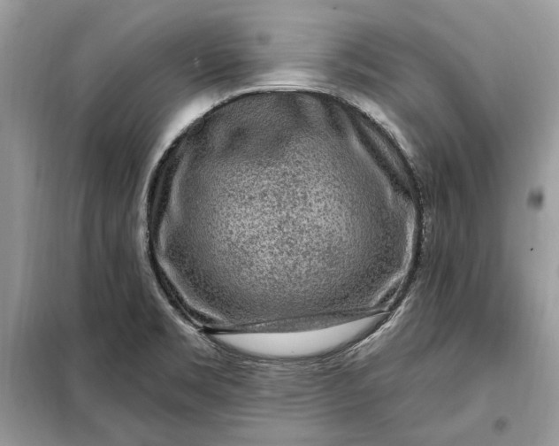 X0000098171469200805080949