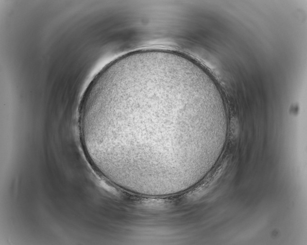 X0000098171470200805080949