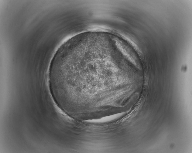 X0000098171471200805080949