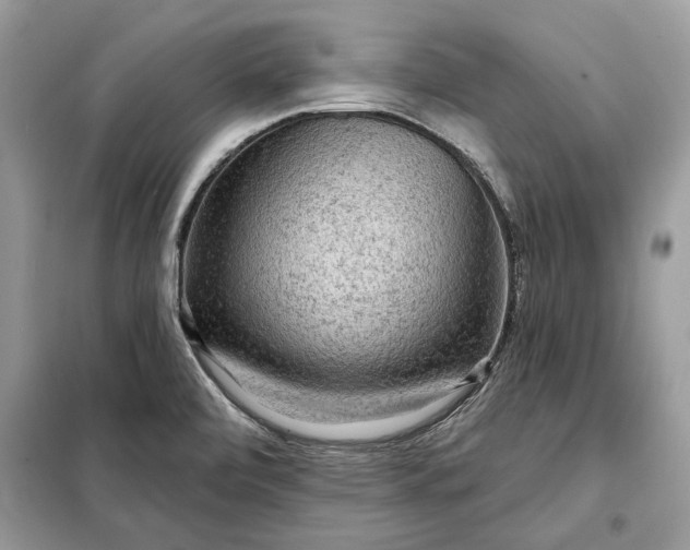 X0000098171472200805080949