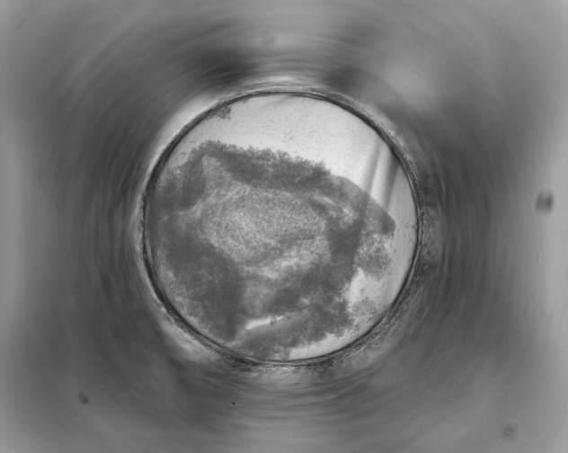 X0000098171474200805080949