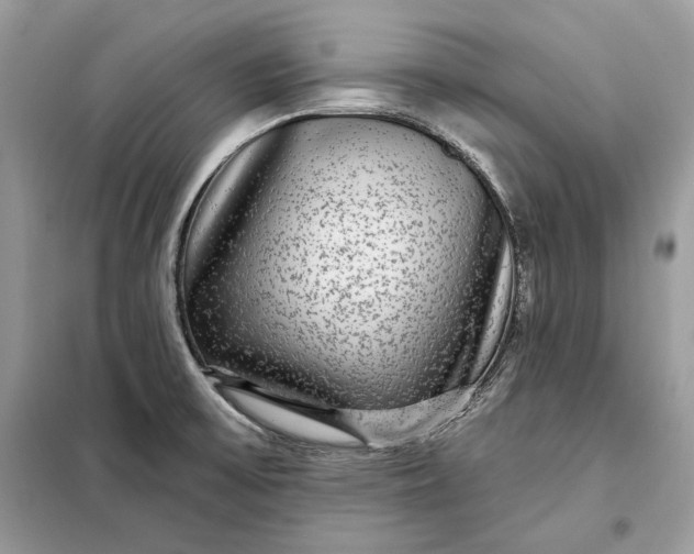 X0000098171475200805080949