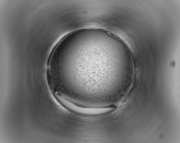 X0000098171476200805080949