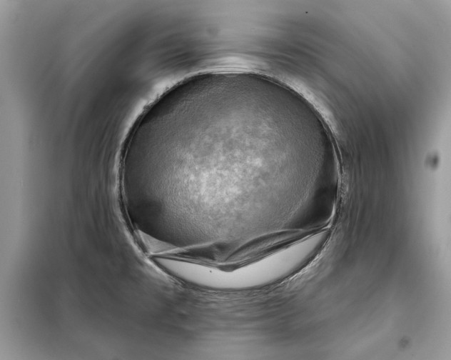 X0000098171477200805080949