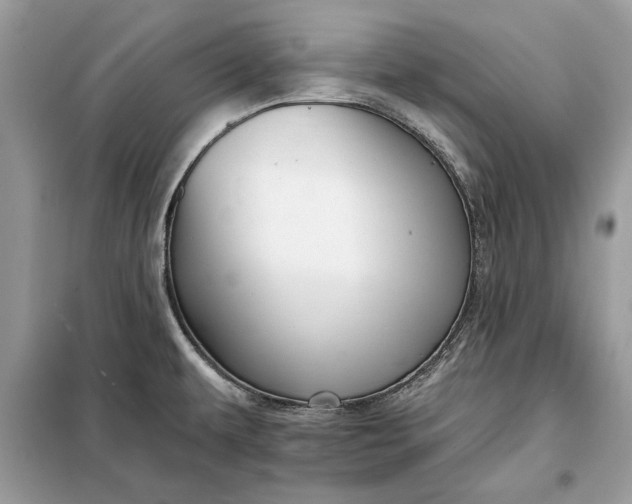 X0000098171479200805080949