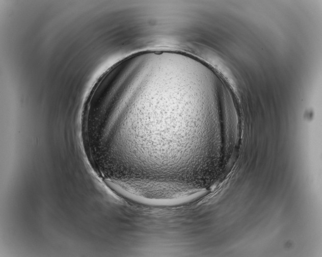 X0000098171480200805080949