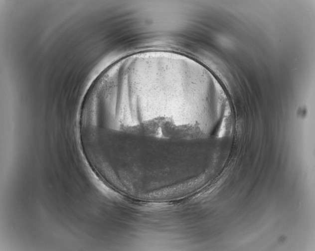 X0000098171482200805080949