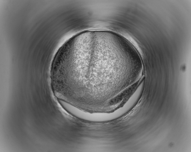 X0000098171485200805080949