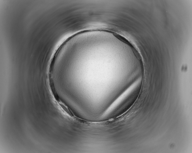 X0000098171488200805080949