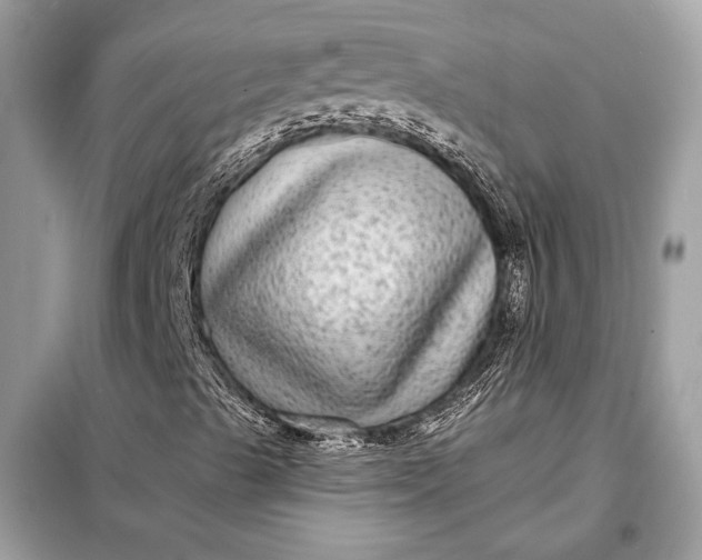 X0000098171489200805080948