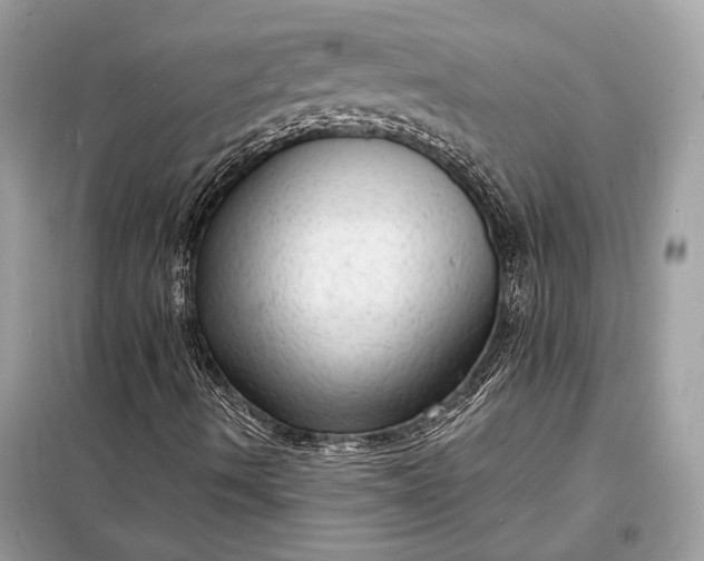 X0000098171490200805080948