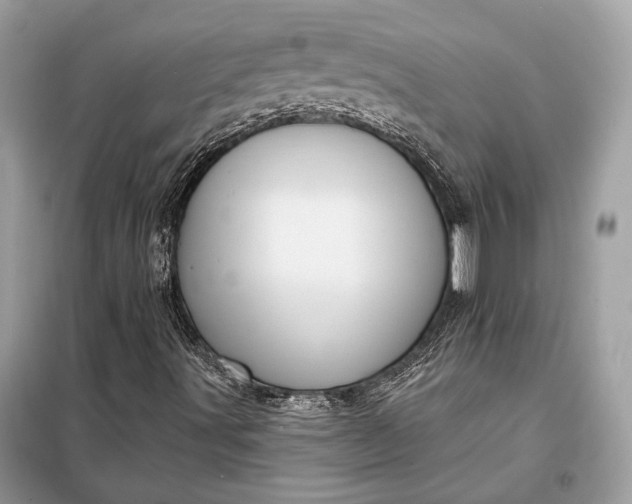 X0000098171491200805080948