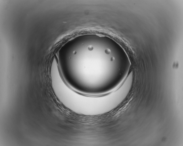 X0000098171494200805080948