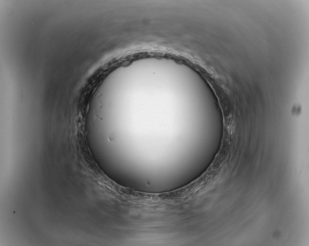 X0000098171495200805080948