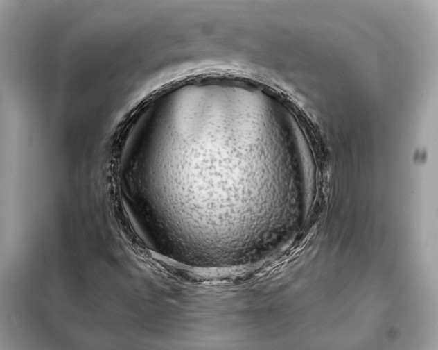 X0000098171496200805080948