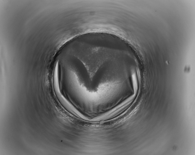 X0000098171497200805080948