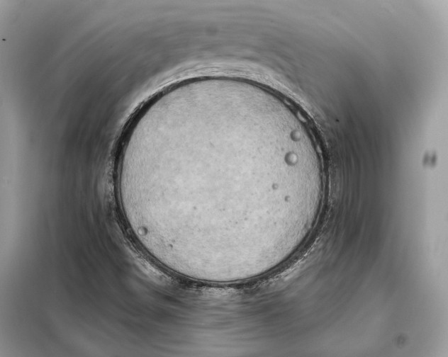 X0000098171498200805080948