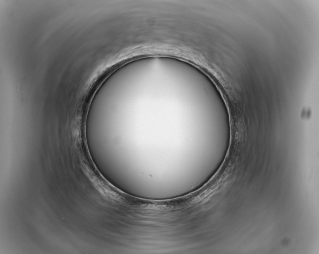 X0000098171499200805080948