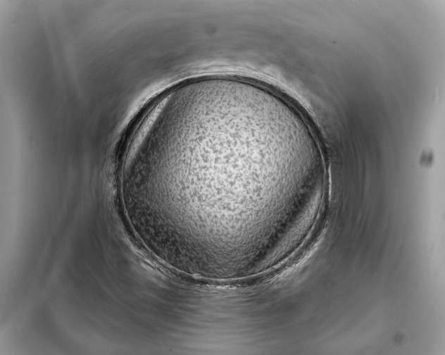 X0000098171501200805080948