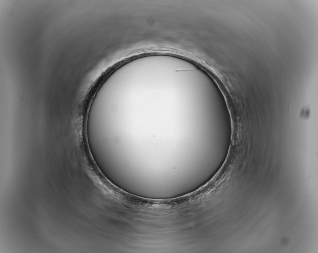 X0000098171503200805080948