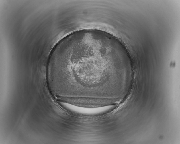 X0000098171505200805080948