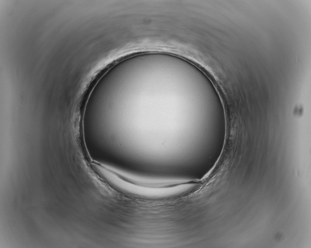 X0000098171507200805080948