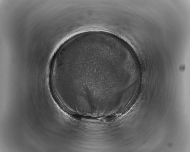 X0000098171508200805080948