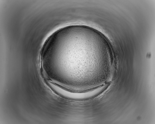 X0000098171510200805080948