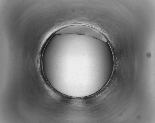 X0000098171511200805080948