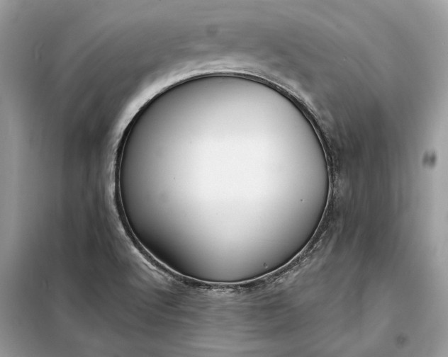 X0000098171512200805080948