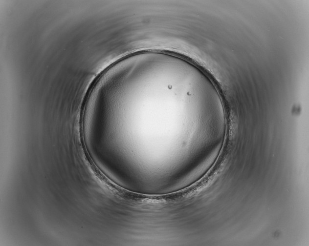 X0000098171513200805080949