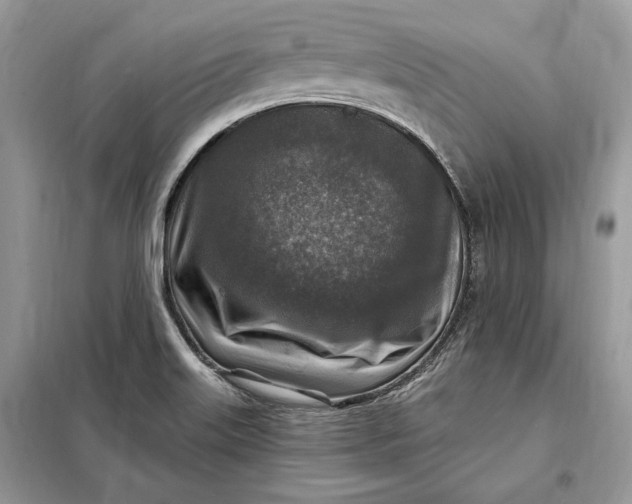 X0000098171515200805080949