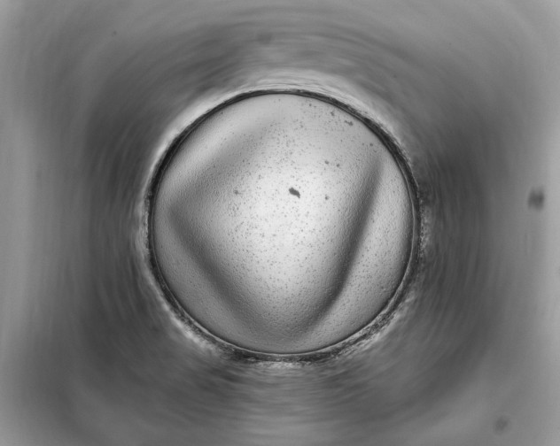 X0000098171517200805080949