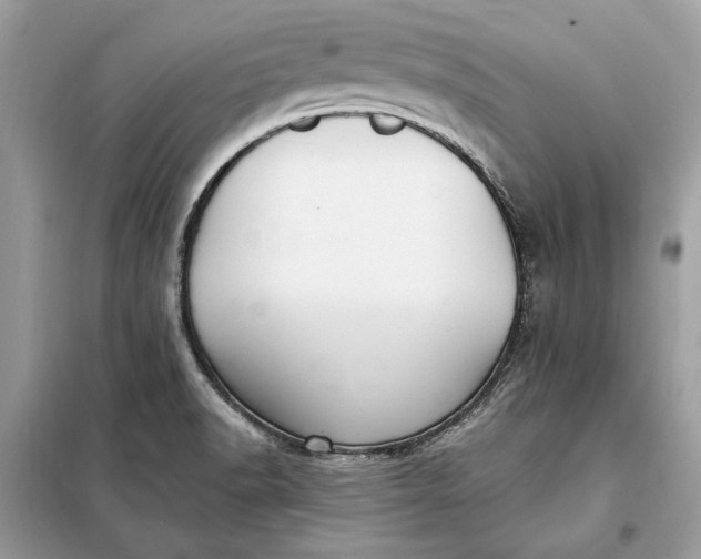 X0000098171518200805080949