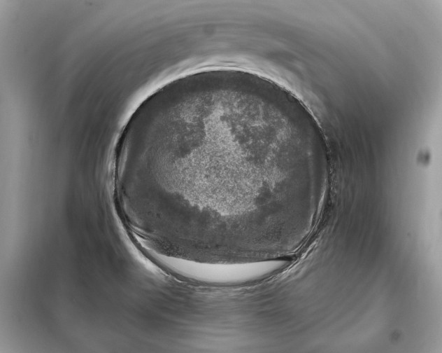 X0000098171519200805080949