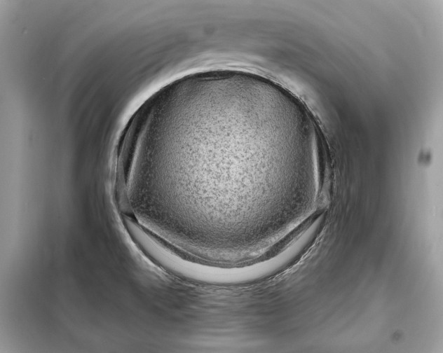 X0000098171520200805080949