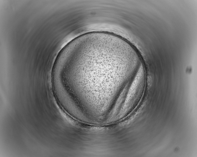 X0000098171521200805080949