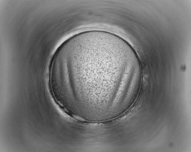 X0000098171523200805080949