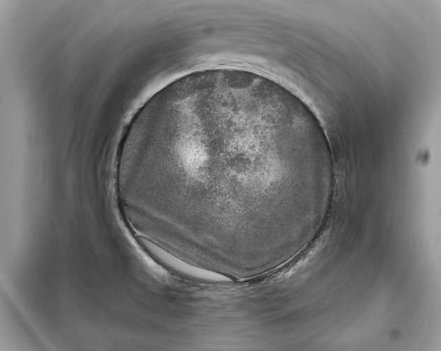 X0000098171525200805080949