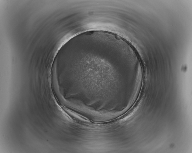 X0000098171529200805080949