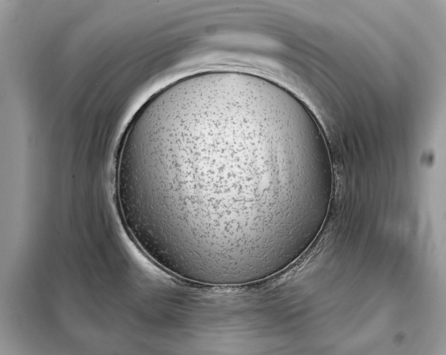 X0000098171531200805080949