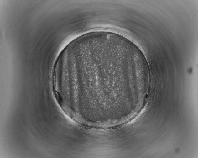 X0000098171533200805080949