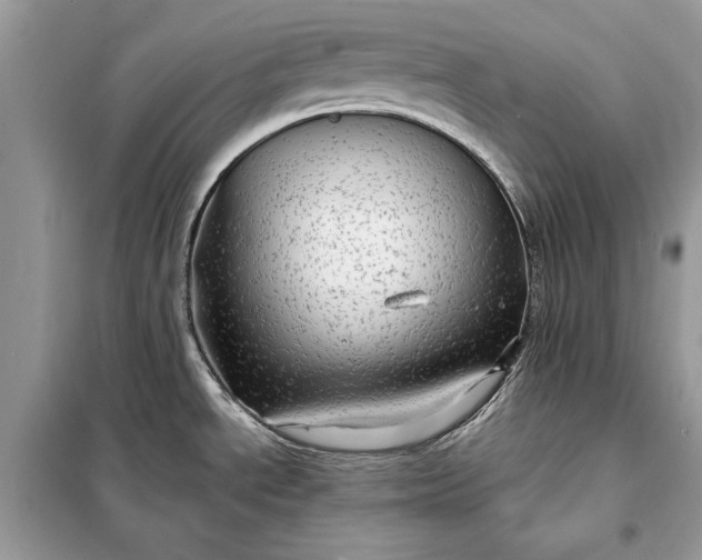 X0000098171534200805080949