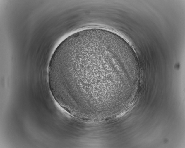 X0000098171535200805080949