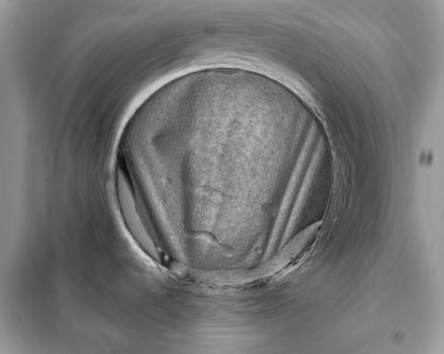 X0000098171536200805080949