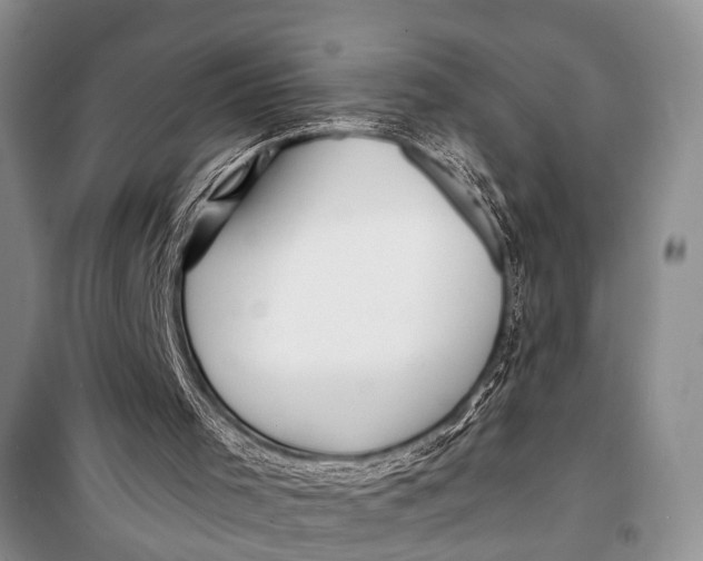 X0000098170001200805151128