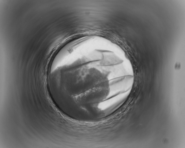 X0000098170002200805151128